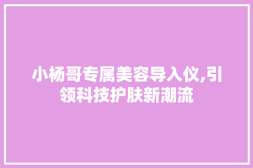 小杨哥专属美容导入仪,引领科技护肤新潮流 小杨哥专属美容导入仪,引领科技护肤新潮流 饮食拾萃