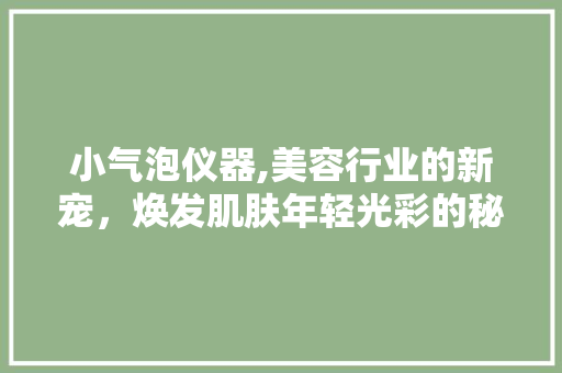 小气泡仪器,美容行业的新宠，焕发肌肤年轻光彩的秘密武器 小气泡仪器,美容行业的新宠，焕发肌肤年轻光彩的秘密武器 养生保健