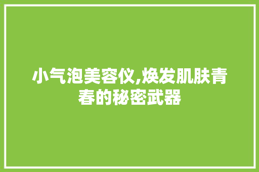 小气泡美容仪,焕发肌肤青春的秘密武器 小气泡美容仪,焕发肌肤青春的秘密武器 动手制作