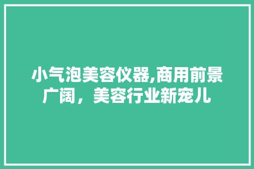 小气泡美容仪器,商用前景广阔，美容行业新宠儿 小气泡美容仪器,商用前景广阔，美容行业新宠儿 家居时尚