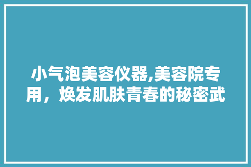 小气泡美容仪器,美容院专用，焕发肌肤青春的秘密武器 小气泡美容仪器,美容院专用，焕发肌肤青春的秘密武器 动手制作