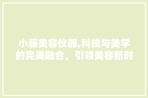 小藤美容仪器,科技与美学的完美融合，引领美容新时代 小藤美容仪器,科技与美学的完美融合，引领美容新时代 养生保健