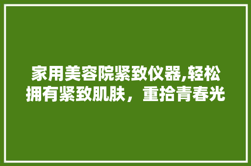 家用美容院紧致仪器,轻松拥有紧致肌肤，重拾青春光彩 家用美容院紧致仪器,轻松拥有紧致肌肤，重拾青春光彩 日用科普