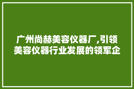 广州尚赫美容仪器厂,引领美容仪器行业发展的领军企业 广州尚赫美容仪器厂,引领美容仪器行业发展的领军企业 服饰装扮