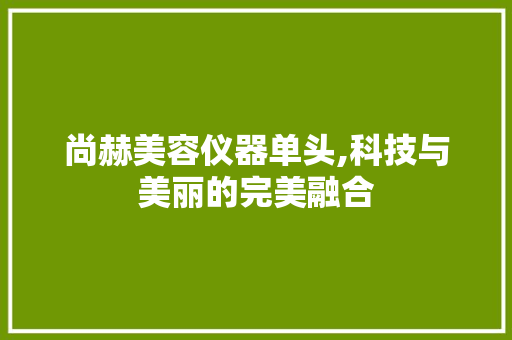 尚赫美容仪器单头,科技与美丽的完美融合 尚赫美容仪器单头,科技与美丽的完美融合 动手制作