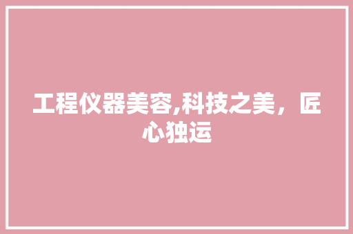 工程仪器美容,科技之美，匠心独运 工程仪器美容,科技之美，匠心独运 动手制作