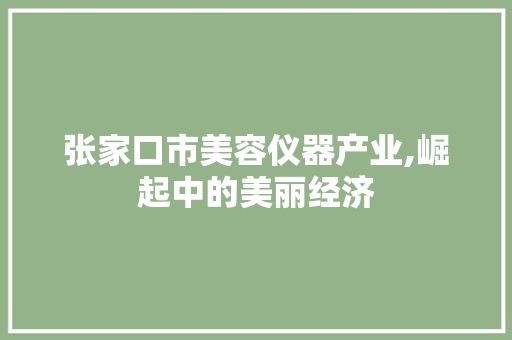 张家口市美容仪器产业,崛起中的美丽经济 张家口市美容仪器产业,崛起中的美丽经济 服饰装扮
