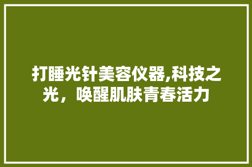 打睡光针美容仪器,科技之光，唤醒肌肤青春活力 打睡光针美容仪器,科技之光，唤醒肌肤青春活力 服饰装扮