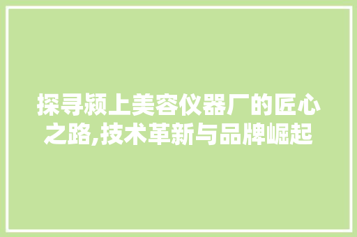 探寻颍上美容仪器厂的匠心之路,技术革新与品牌崛起 探寻颍上美容仪器厂的匠心之路,技术革新与品牌崛起 动手制作