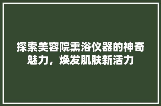 探索美容院熏浴仪器的神奇魅力，焕发肌肤新活力 探索美容院熏浴仪器的神奇魅力，焕发肌肤新活力 养生保健