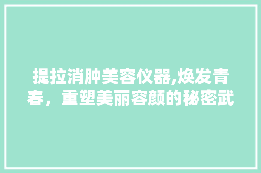 提拉消肿美容仪器,焕发青春，重塑美丽容颜的秘密武器 提拉消肿美容仪器,焕发青春，重塑美丽容颜的秘密武器 美容塑身