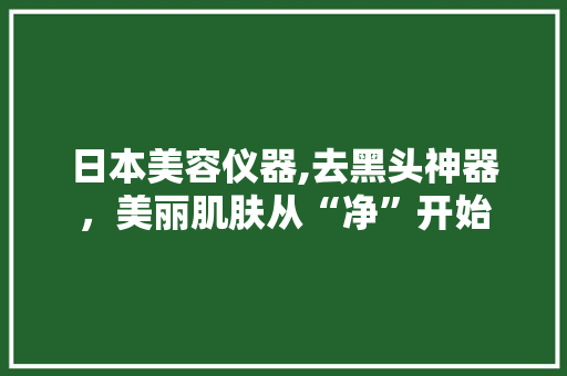 日本美容仪器,去黑头神器，美丽肌肤从“净”开始 日本美容仪器,去黑头神器，美丽肌肤从“净”开始 旅行地理