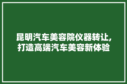 昆明汽车美容院仪器转让,打造高端汽车美容新体验 昆明汽车美容院仪器转让,打造高端汽车美容新体验 动手制作