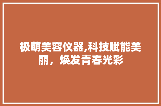 极萌美容仪器,科技赋能美丽，焕发青春光彩 极萌美容仪器,科技赋能美丽，焕发青春光彩 美容塑身