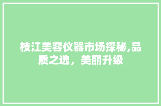 枝江美容仪器市场探秘,品质之选，美丽升级 枝江美容仪器市场探秘,品质之选，美丽升级 服饰装扮