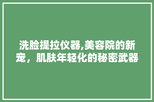 洗脸提拉仪器,美容院的新宠，肌肤年轻化的秘密武器 洗脸提拉仪器,美容院的新宠，肌肤年轻化的秘密武器 美容塑身