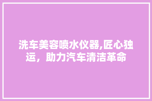 洗车美容喷水仪器,匠心独运，助力汽车清洁革命 洗车美容喷水仪器,匠心独运，助力汽车清洁革命 美容塑身