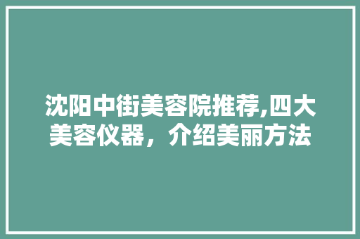 沈阳中街美容院推荐,四大美容仪器，介绍美丽方法 沈阳中街美容院推荐,四大美容仪器，介绍美丽方法 动手制作