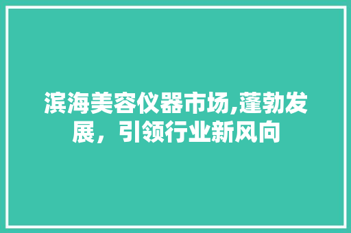 滨海美容仪器市场,蓬勃发展，引领行业新风向 滨海美容仪器市场,蓬勃发展，引领行业新风向 动手制作