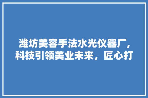 潍坊美容手法水光仪器厂,科技引领美业未来，匠心打造水光仪器新篇章 潍坊美容手法水光仪器厂,科技引领美业未来，匠心打造水光仪器新篇章 动手制作