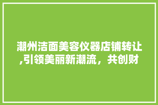 潮州洁面美容仪器店铺转让,引领美丽新潮流，共创财富未来 潮州洁面美容仪器店铺转让,引领美丽新潮流，共创财富未来 日用科普