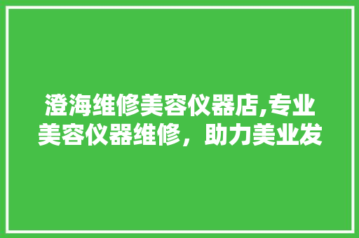 澄海维修美容仪器店,专业美容仪器维修，助力美业发展 澄海维修美容仪器店,专业美容仪器维修，助力美业发展 动手制作