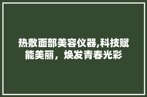 热敷面部美容仪器,科技赋能美丽，焕发青春光彩 热敷面部美容仪器,科技赋能美丽，焕发青春光彩 旅行地理