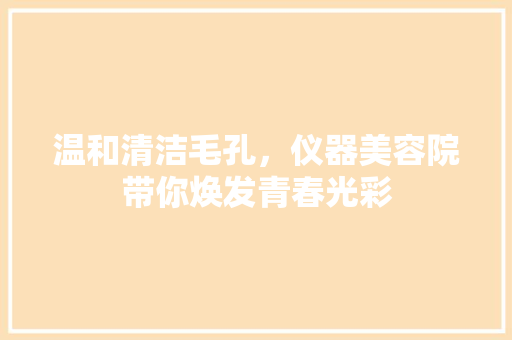 温和清洁毛孔，仪器美容院带你焕发青春光彩 温和清洁毛孔，仪器美容院带你焕发青春光彩 动手制作