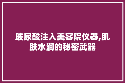 玻尿酸注入美容院仪器,肌肤水润的秘密武器 玻尿酸注入美容院仪器,肌肤水润的秘密武器 养生保健