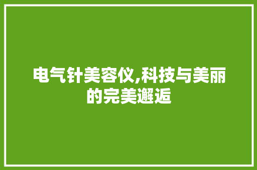 电气针美容仪,科技与美丽的完美邂逅 电气针美容仪,科技与美丽的完美邂逅 养生保健
