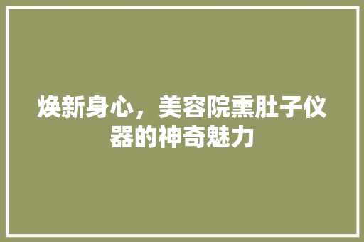 焕新身心，美容院熏肚子仪器的神奇魅力 焕新身心，美容院熏肚子仪器的神奇魅力 日用科普