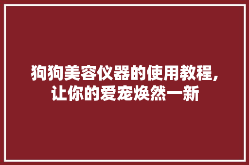 狗狗美容仪器的使用教程,让你的爱宠焕然一新 狗狗美容仪器的使用教程,让你的爱宠焕然一新 美容塑身