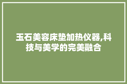 玉石美容床垫加热仪器,科技与美学的完美融合 玉石美容床垫加热仪器,科技与美学的完美融合 美容塑身