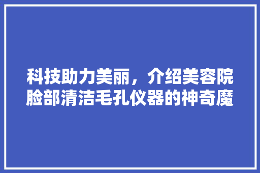 科技助力美丽，介绍美容院脸部清洁毛孔仪器的神奇魔力 科技助力美丽，介绍美容院脸部清洁毛孔仪器的神奇魔力 家居时尚