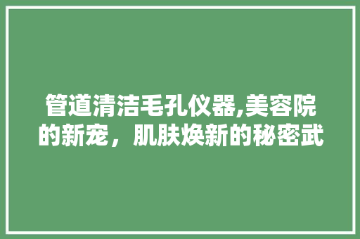 管道清洁毛孔仪器,美容院的新宠，肌肤焕新的秘密武器 管道清洁毛孔仪器,美容院的新宠，肌肤焕新的秘密武器 旅行地理