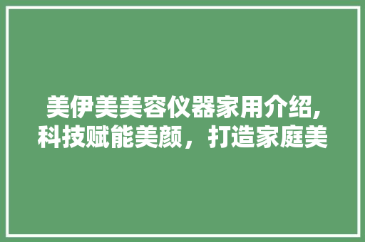 美伊美美容仪器家用介绍,科技赋能美颜，打造家庭美容新体验 美伊美美容仪器家用介绍,科技赋能美颜，打造家庭美容新体验 家居时尚