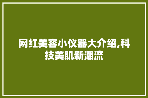 网红美容小仪器大介绍,科技美肌新潮流 网红美容小仪器大介绍,科技美肌新潮流 日用科普