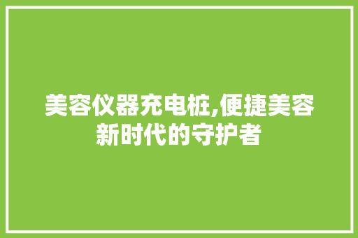 美容仪器充电桩,便捷美容新时代的守护者 美容仪器充电桩,便捷美容新时代的守护者 旅行地理