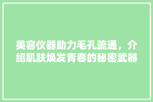 美容仪器助力毛孔疏通，介绍肌肤焕发青春的秘密武器 美容仪器助力毛孔疏通，介绍肌肤焕发青春的秘密武器 美容塑身