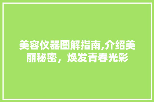 美容仪器图解指南,介绍美丽秘密，焕发青春光彩 美容仪器图解指南,介绍美丽秘密，焕发青春光彩 美容塑身