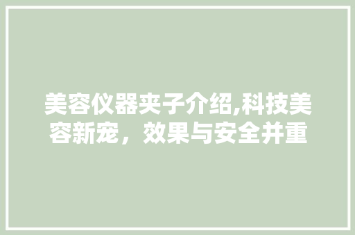美容仪器夹子介绍,科技美容新宠，效果与安全并重 美容仪器夹子介绍,科技美容新宠，效果与安全并重 旅行地理