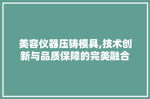 美容仪器压铸模具,技术创新与品质保障的完美融合 美容仪器压铸模具,技术创新与品质保障的完美融合 动手制作