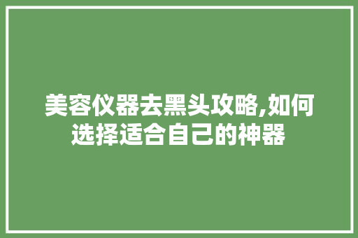 美容仪器去黑头攻略,如何选择适合自己的神器 美容仪器去黑头攻略,如何选择适合自己的神器 饮食拾萃