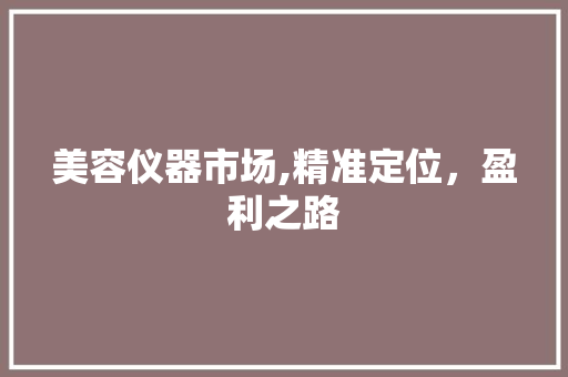 美容仪器市场,精准定位，盈利之路 美容仪器市场,精准定位，盈利之路 服饰装扮