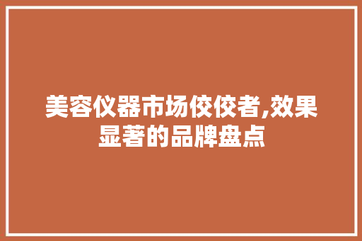 美容仪器市场佼佼者,效果显著的品牌盘点 美容仪器市场佼佼者,效果显著的品牌盘点 饮食拾萃