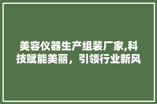 美容仪器生产组装厂家,科技赋能美丽，引领行业新风尚 美容仪器生产组装厂家,科技赋能美丽，引领行业新风尚 动手制作