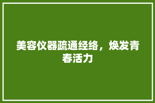 美容仪器疏通经络，焕发青春活力 美容仪器疏通经络，焕发青春活力 家居时尚
