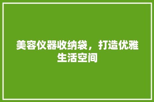 美容仪器收纳袋，打造优雅生活空间 美容仪器收纳袋，打造优雅生活空间 旅行地理