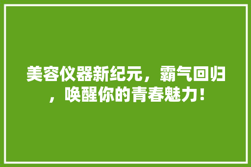 美容仪器新纪元，霸气回归，唤醒你的青春魅力！ 美容仪器新纪元，霸气回归，唤醒你的青春魅力！ 美容塑身