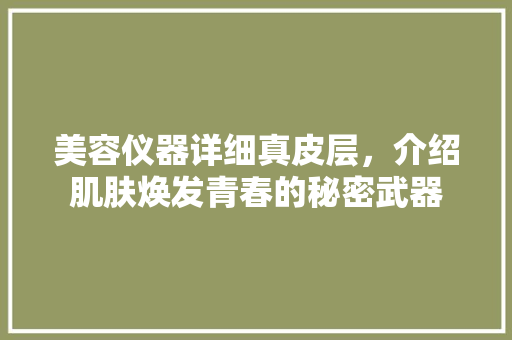 美容仪器详细真皮层，介绍肌肤焕发青春的秘密武器 美容仪器详细真皮层，介绍肌肤焕发青春的秘密武器 服饰装扮